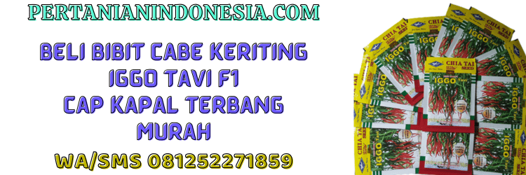 jual,murah,terjangkau,toko pertanian terdekat,pertanian indonesia